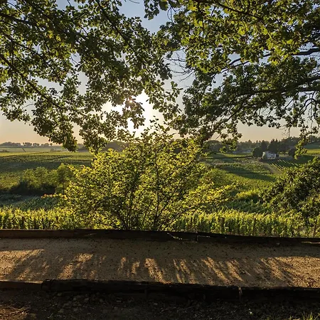 La Maison Des Coteaux - Avec Vue D'exception Fronsac (Gironde)